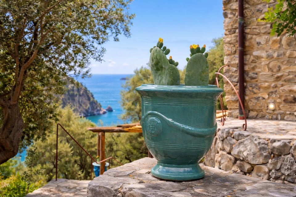 Natural landscape, Sea view