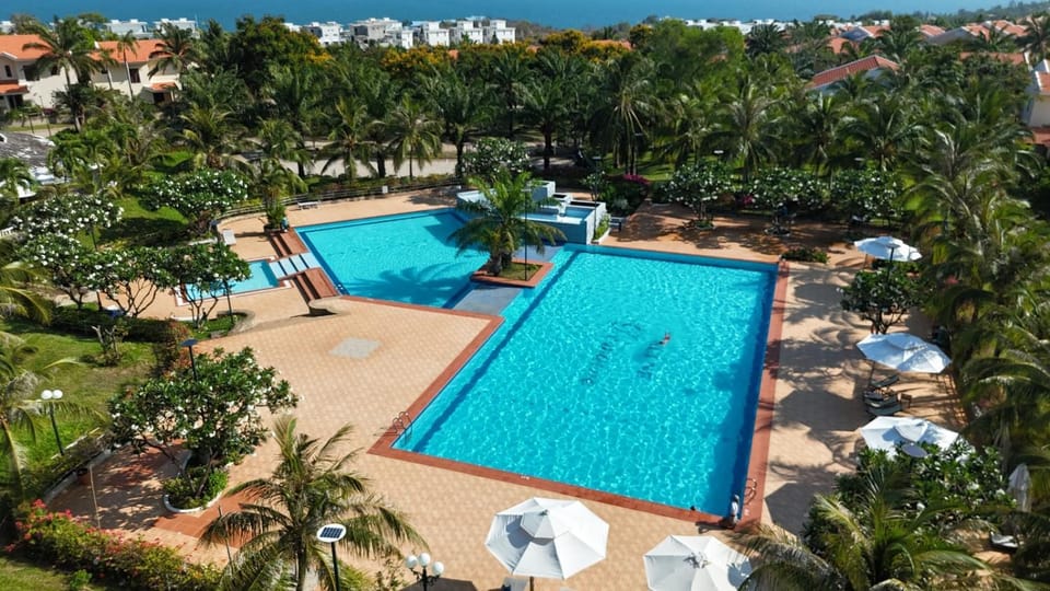 Day, Natural landscape, Bird's eye view, Garden, Garden view, Pool view, Swimming pool, Swimming pool, sunbed
