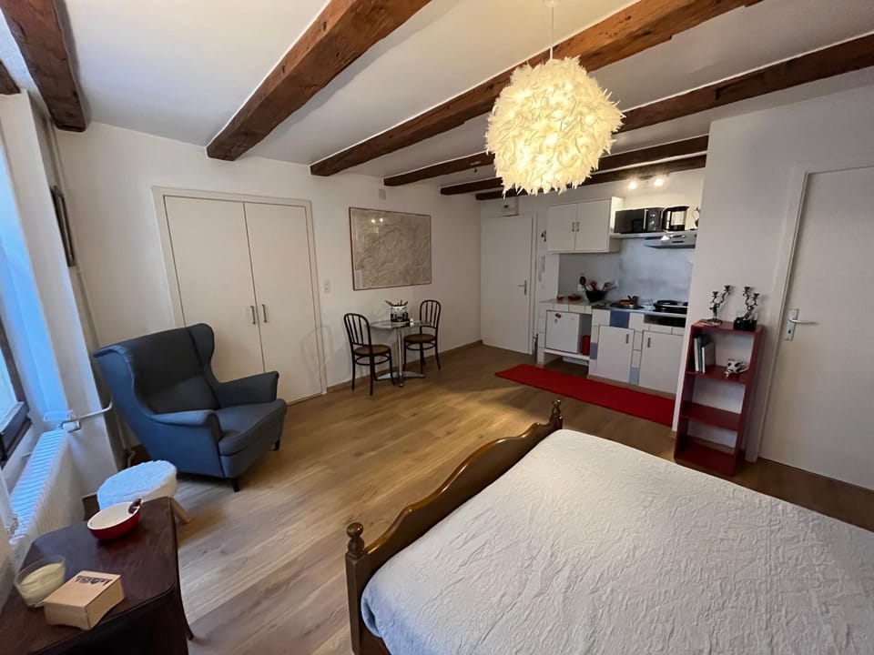 Studio au cœur de la ville de Neuchatel Apartment in Neuchâtel
