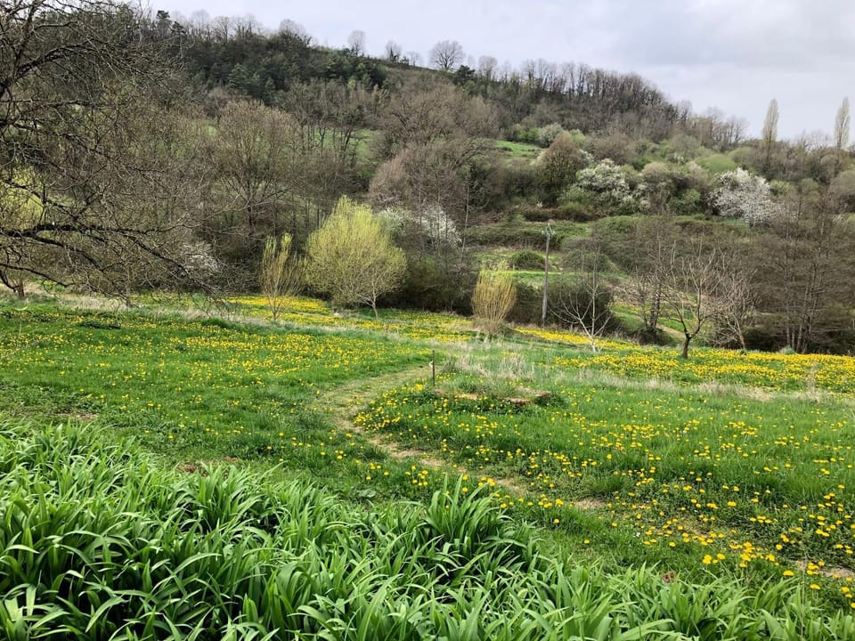 Natural landscape