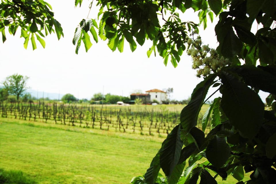 La Ginestra Bed and Breakfast in Emilia-Romagna