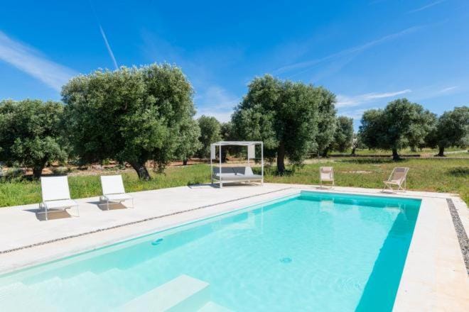 Garden, Swimming pool, sunbed