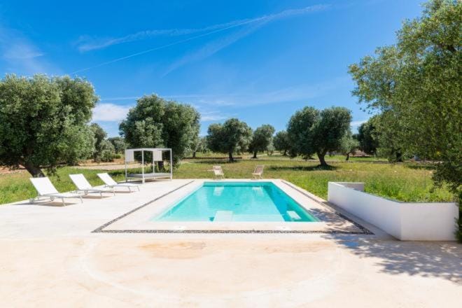 Garden, Swimming pool