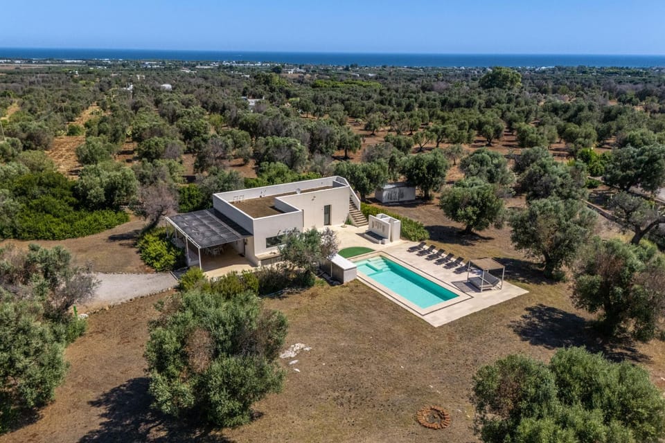 Bird's eye view, Swimming pool