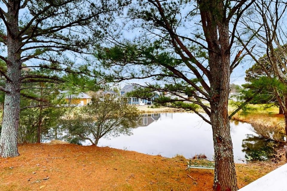 Salt Pond --- 491 Bethany Loop House in Sussex County