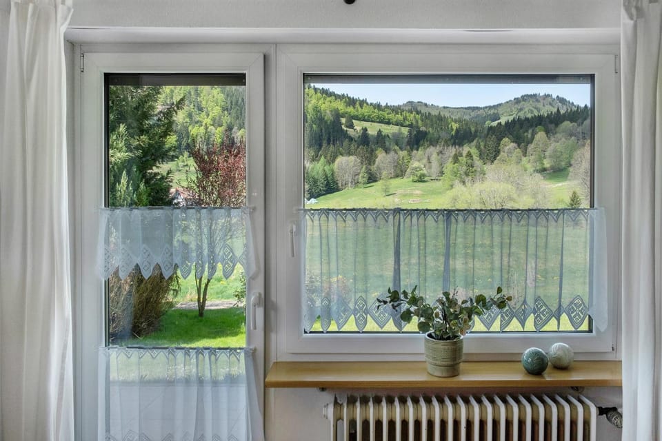 Aufblühen in Menzenschwand Apartment in Baden-Württemberg