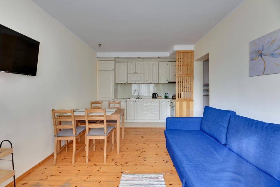 Kitchen or kitchenette, Living room, Seating area, Dining area, stove