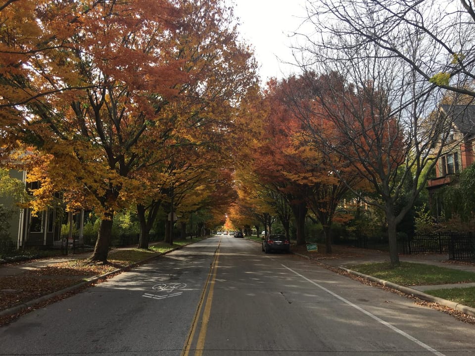 Spring, Day, Neighbourhood, Street view