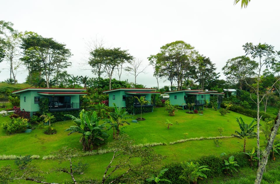Property building, Day, Natural landscape, Garden view