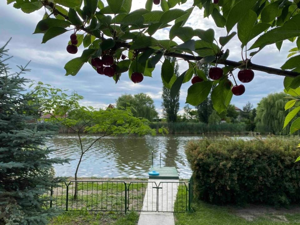 Két Fenyőfa Vendégház Vízparti Nyaraló House in Hungary