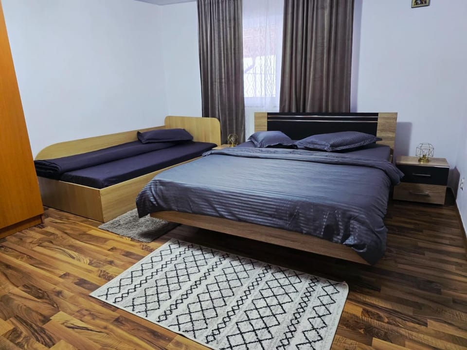 Casa Trandafirilor Calimanesti House in Romania