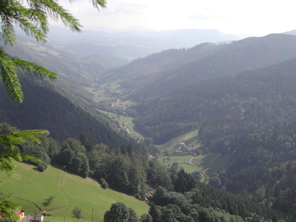Mountain view