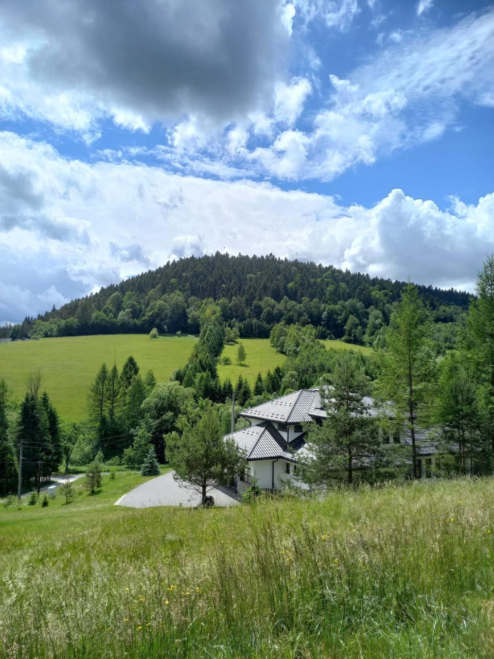 Mountain view
