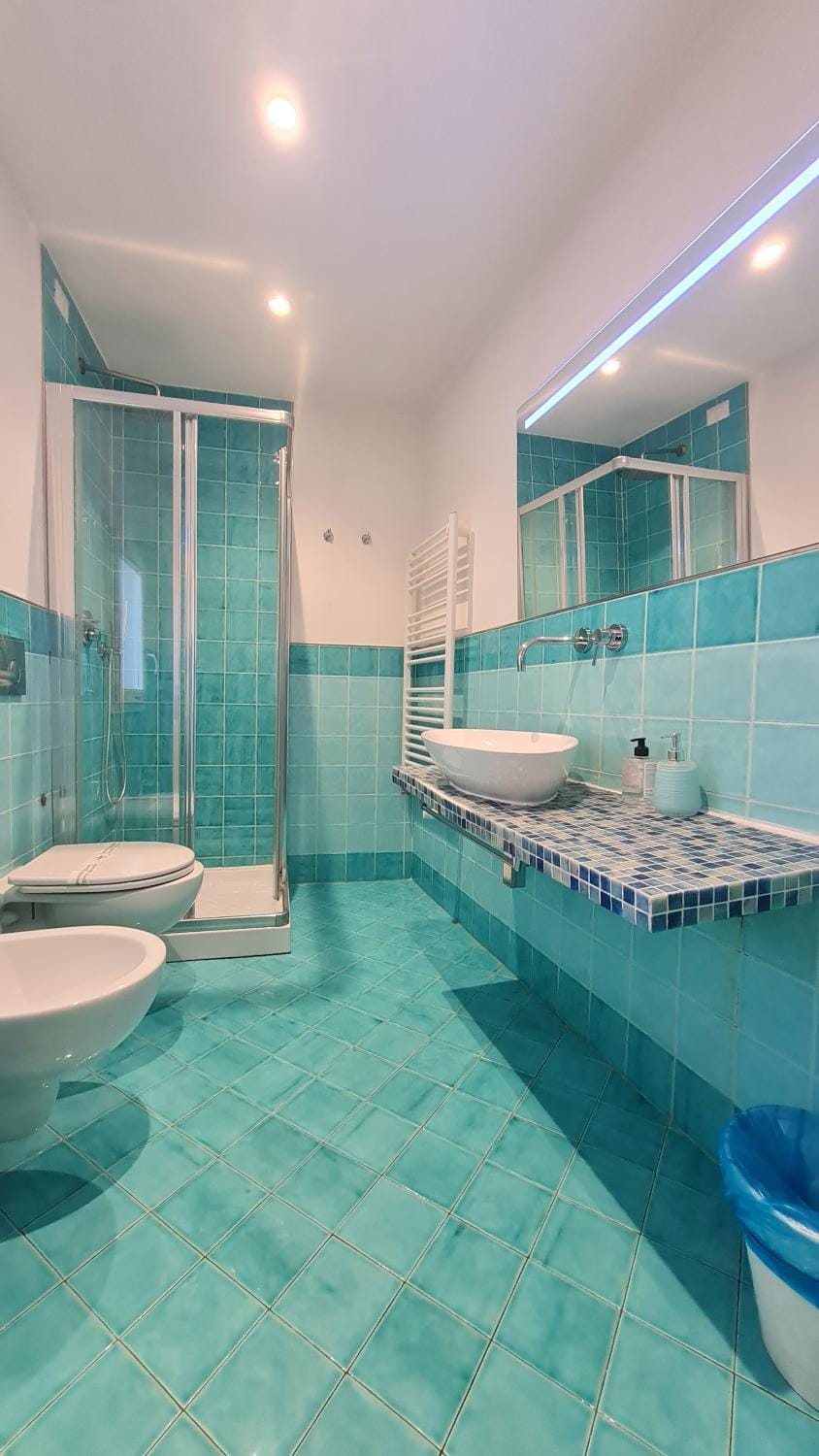 Shower, Toilet, Bathroom, bidet