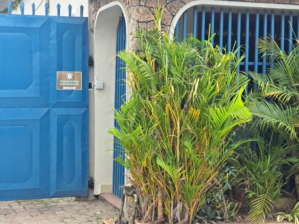 Property building, Day, Garden