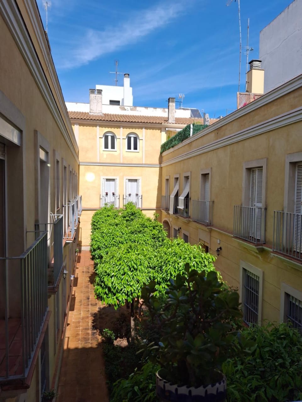 Patio