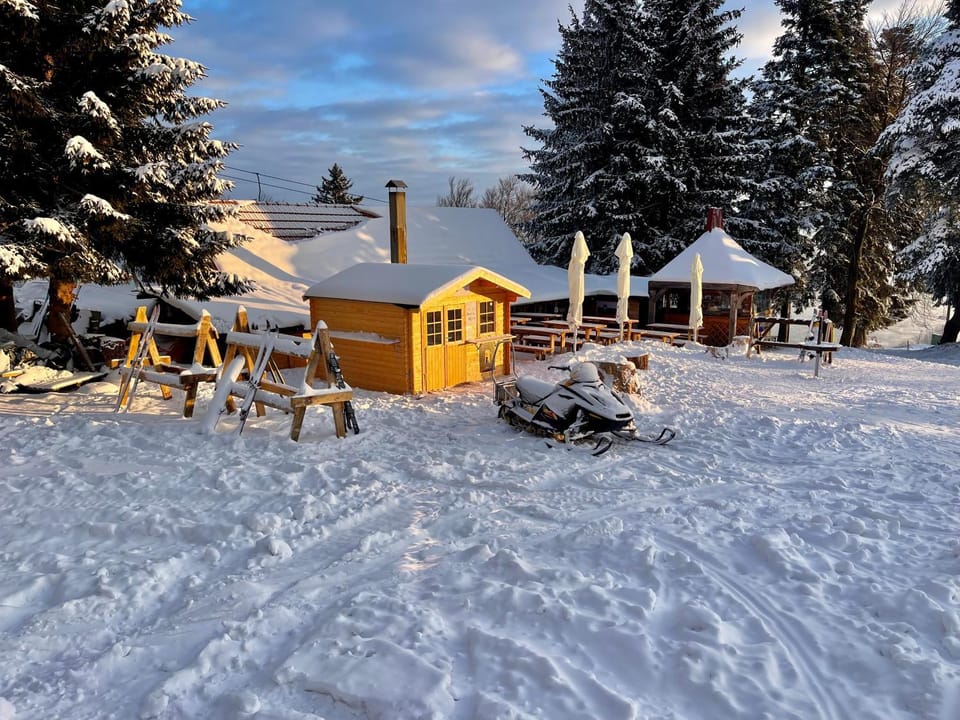 Chalet on Pohorje hill Maribor bike park next to the downhill track Chalet in Slovenia