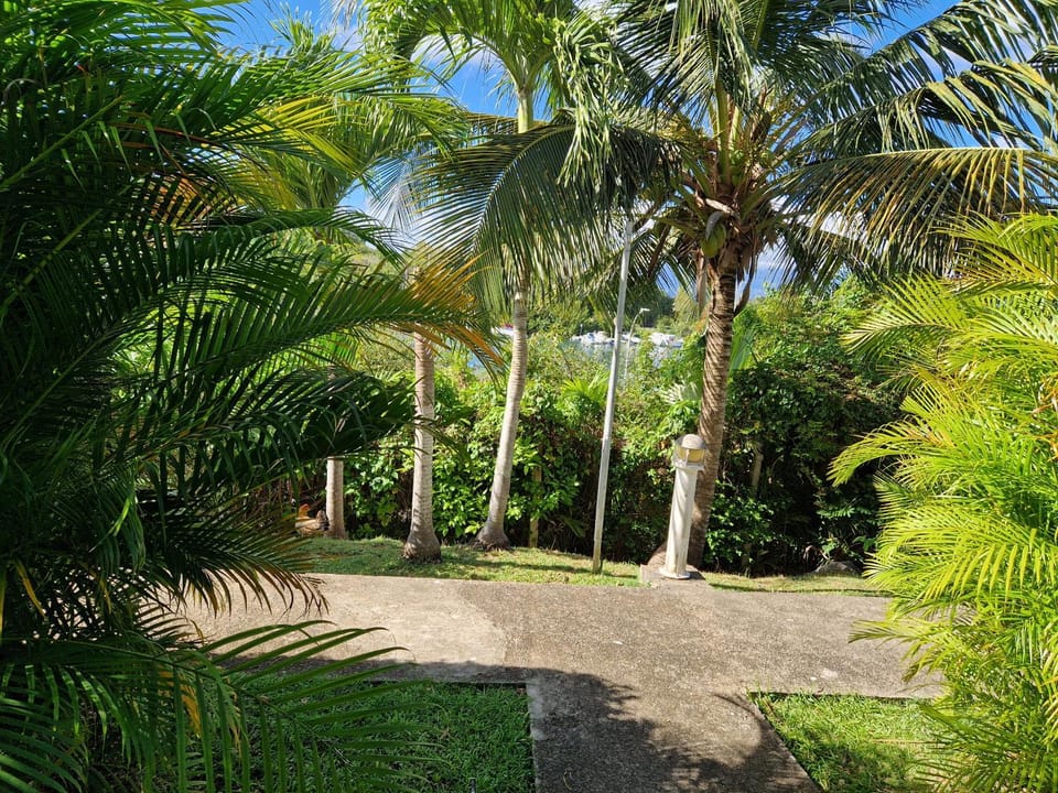 Garden view