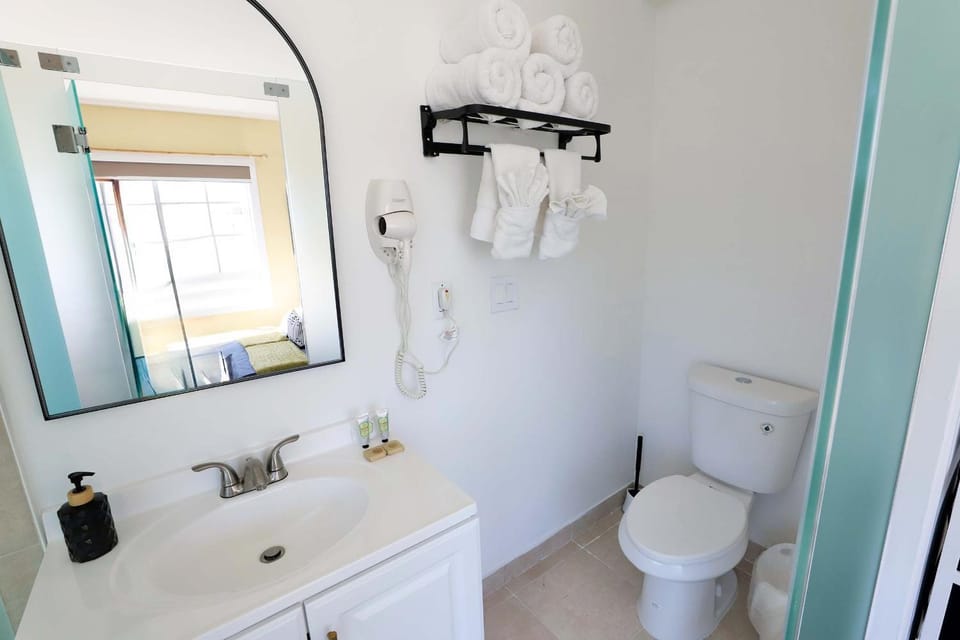 Toilet, Bathroom, hair dryier, towels