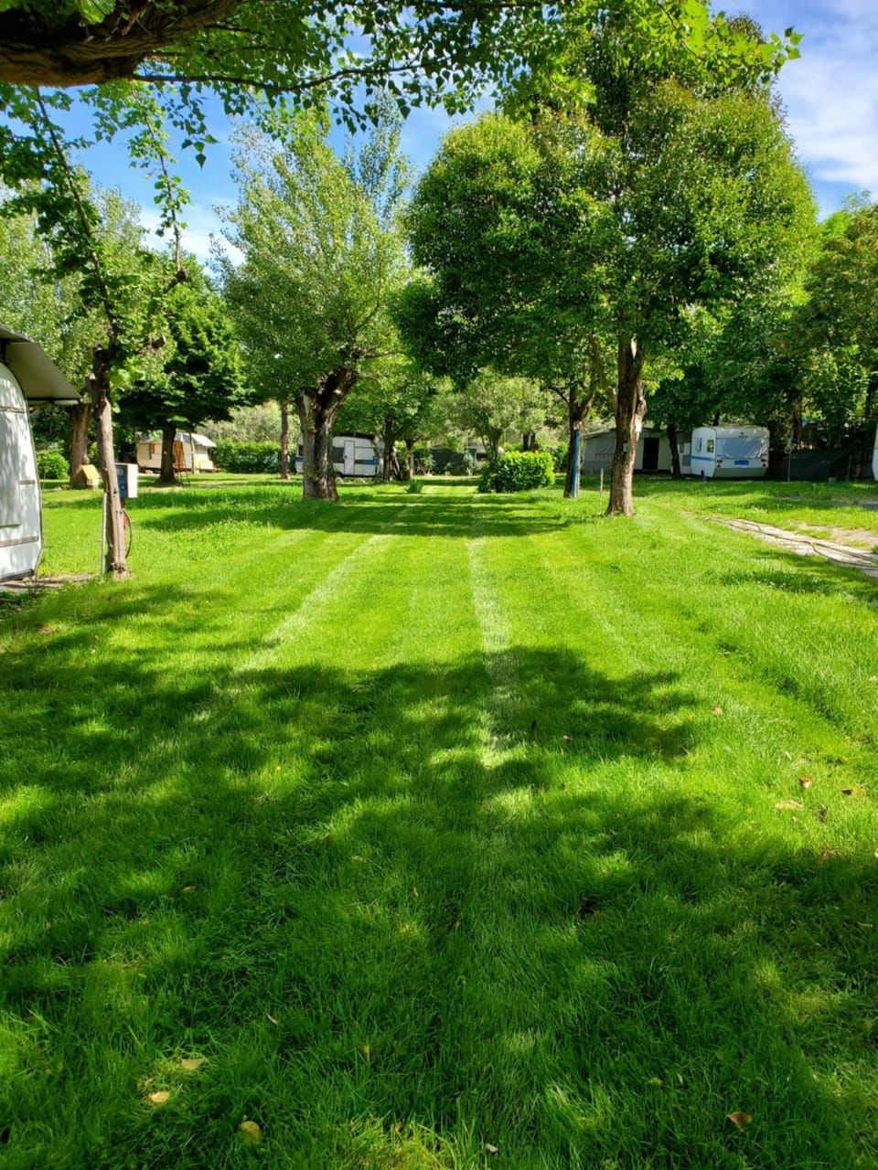 Garden, Garden view