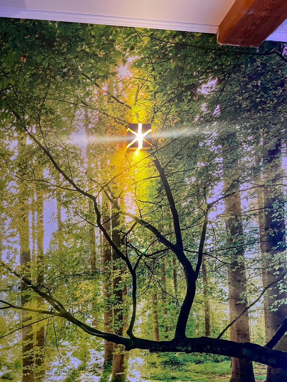 Natural landscape