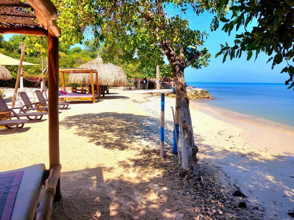 Garden, Beach
