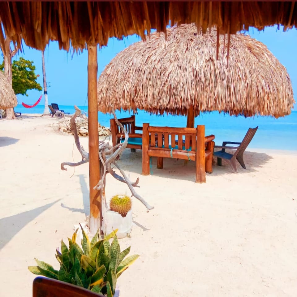 Garden, Beach