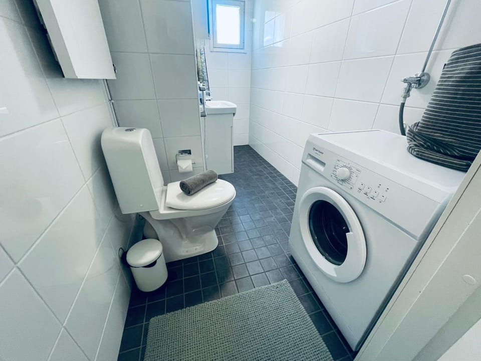 Toilet, Bathroom, washing machine