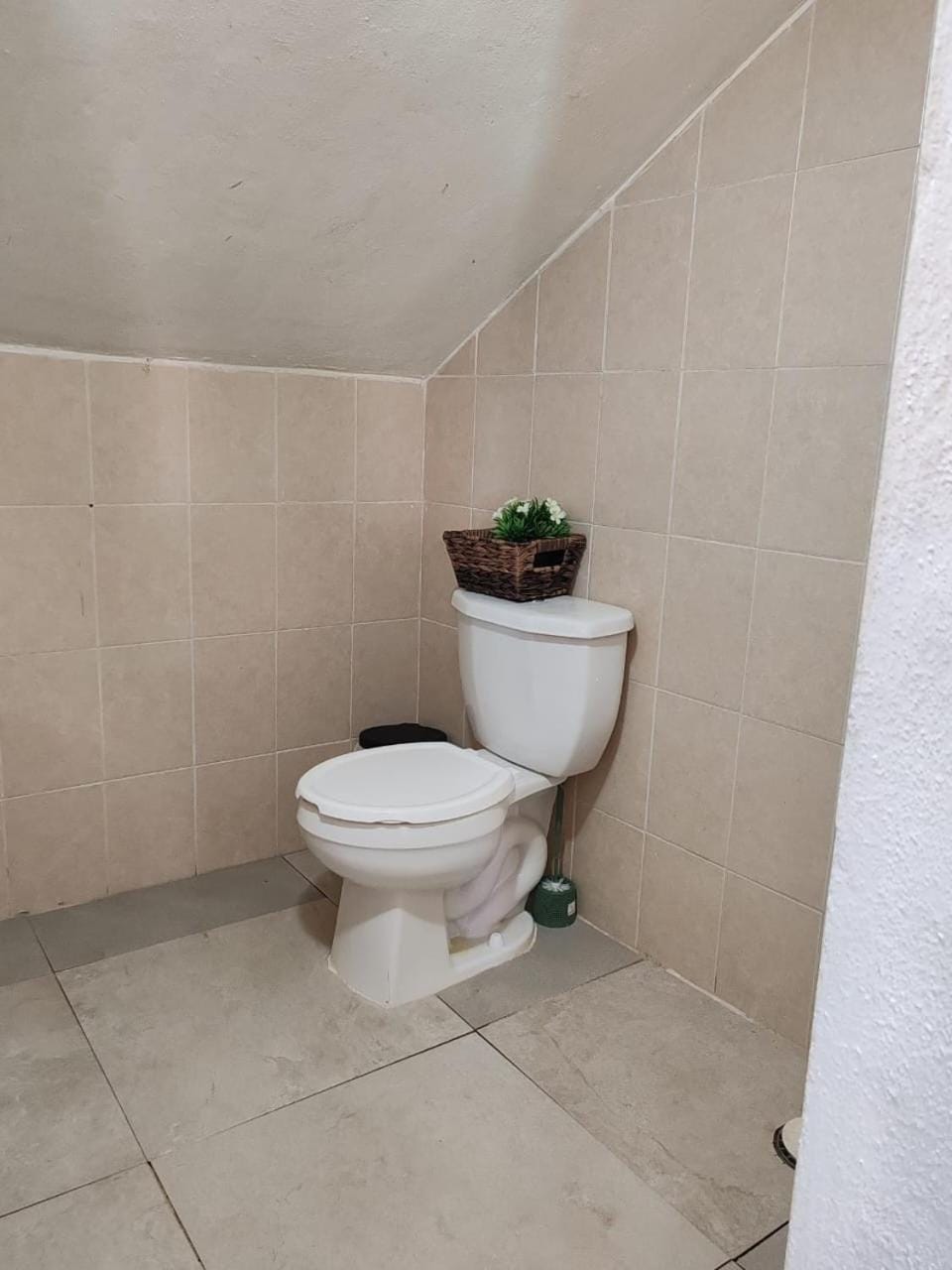 Beautiful apartment near the Guadalupe walkway Apartment in San Cristobal de Casas