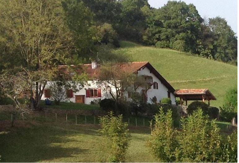Property building, Natural landscape, Garden view