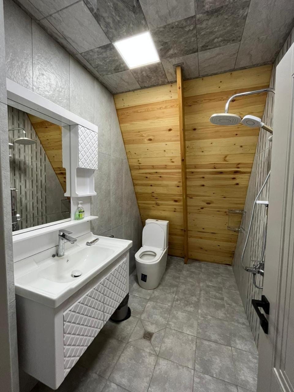 Shower, Toilet, towels