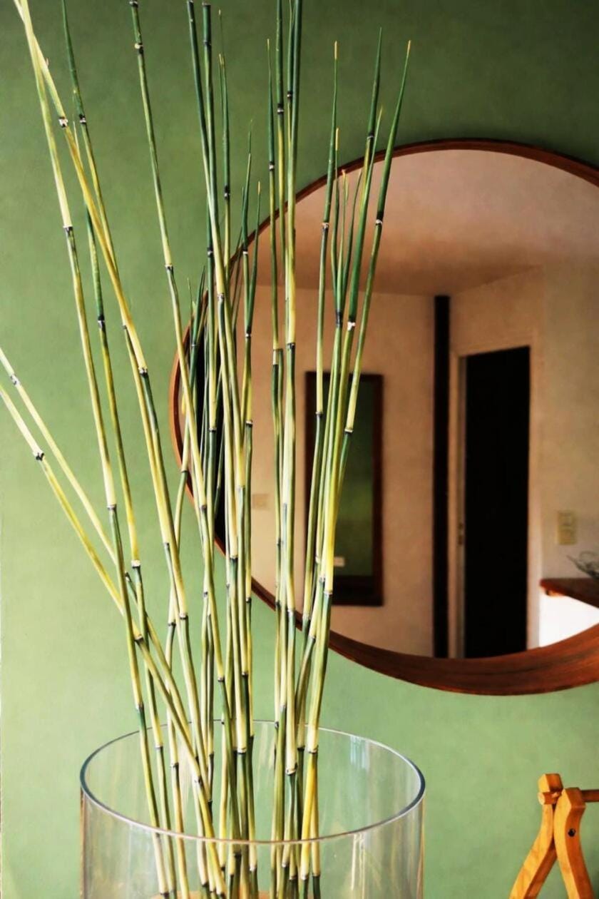 Résidence Les Roches Blanches - Appartement vue mer terrasse et accès à la plage MAE-1101 Apartment in Brittany