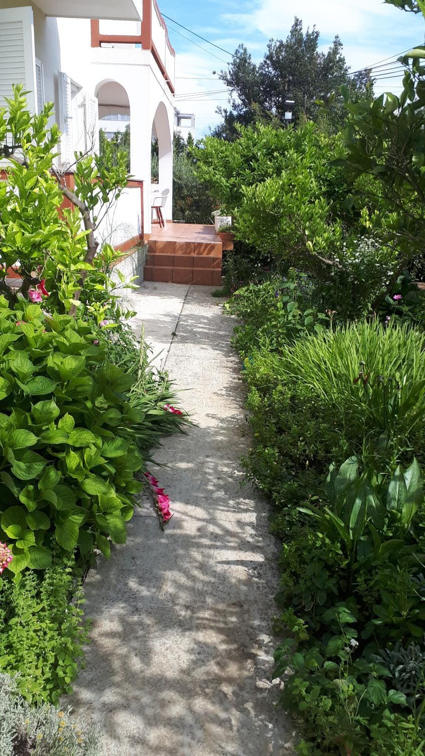 Property building, Garden