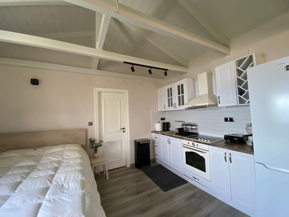 Blue Horizon Rock-Sea View Apartment in Nidri House in Lefkada, Lefkada Municipality, Greece