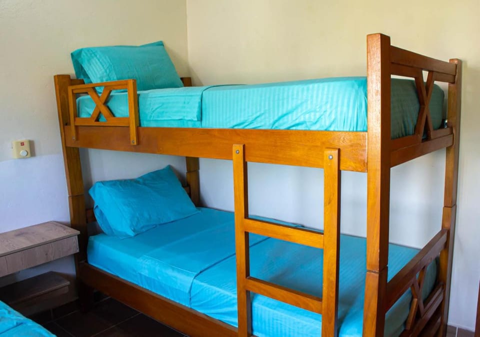 Bed, Photo of the whole room, Bedroom, bunk bed