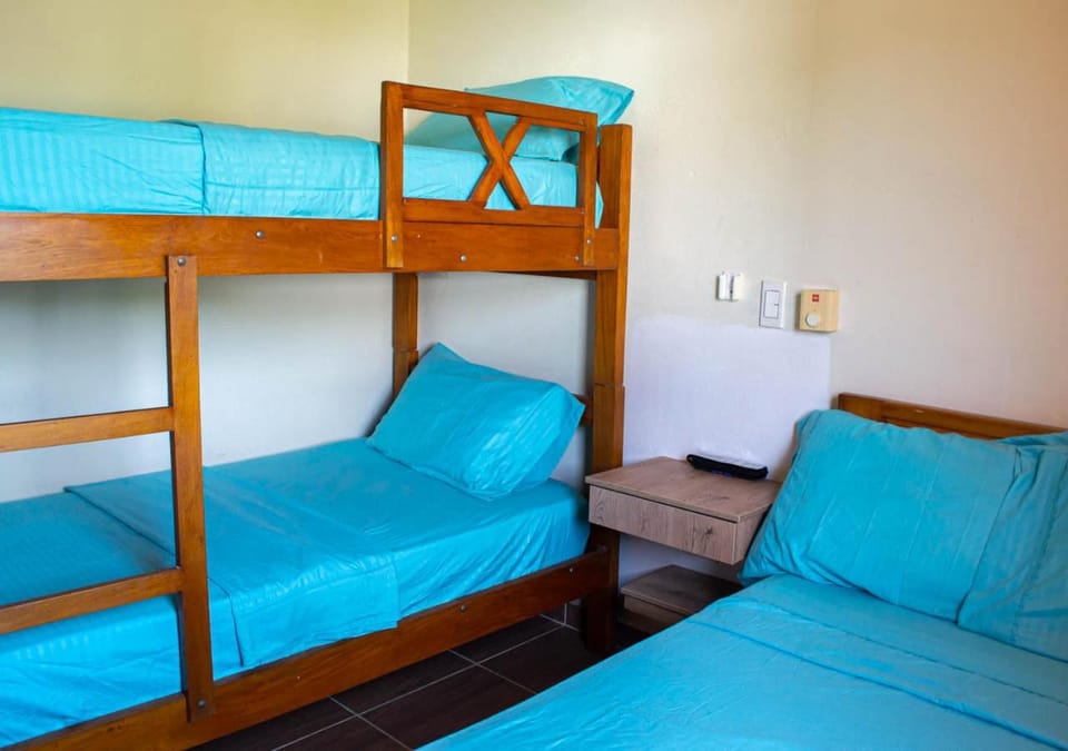 Bed, Photo of the whole room, Bedroom, bunk bed