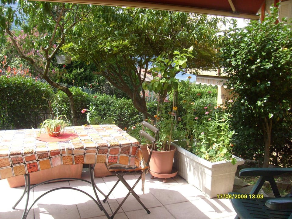 Garden, Garden view