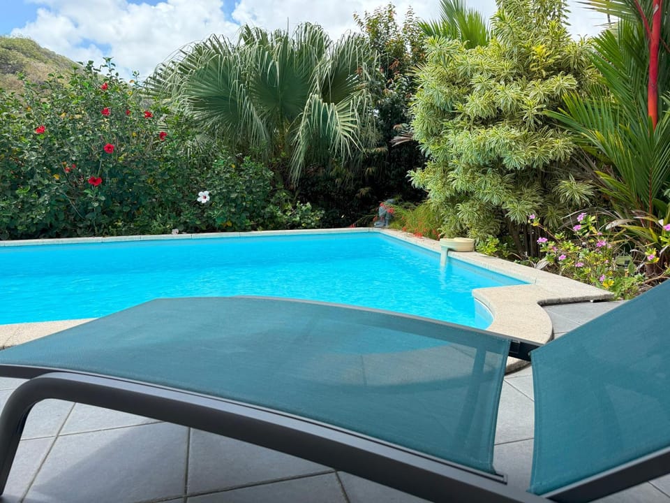Garden, Garden view, Pool view, Swimming pool