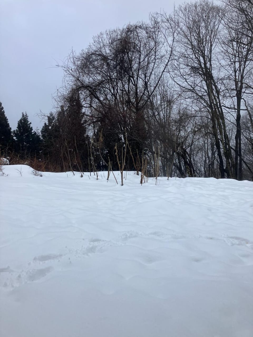 フォレスト247 Villa in Nagano Prefecture