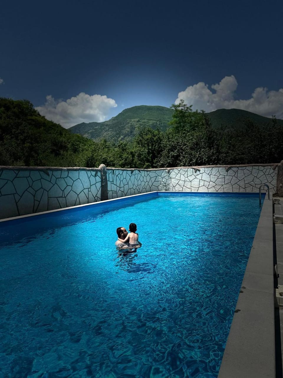 Natural landscape, Pool view, Swimming pool
