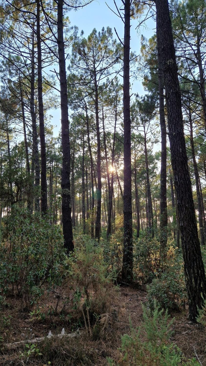 Natural landscape