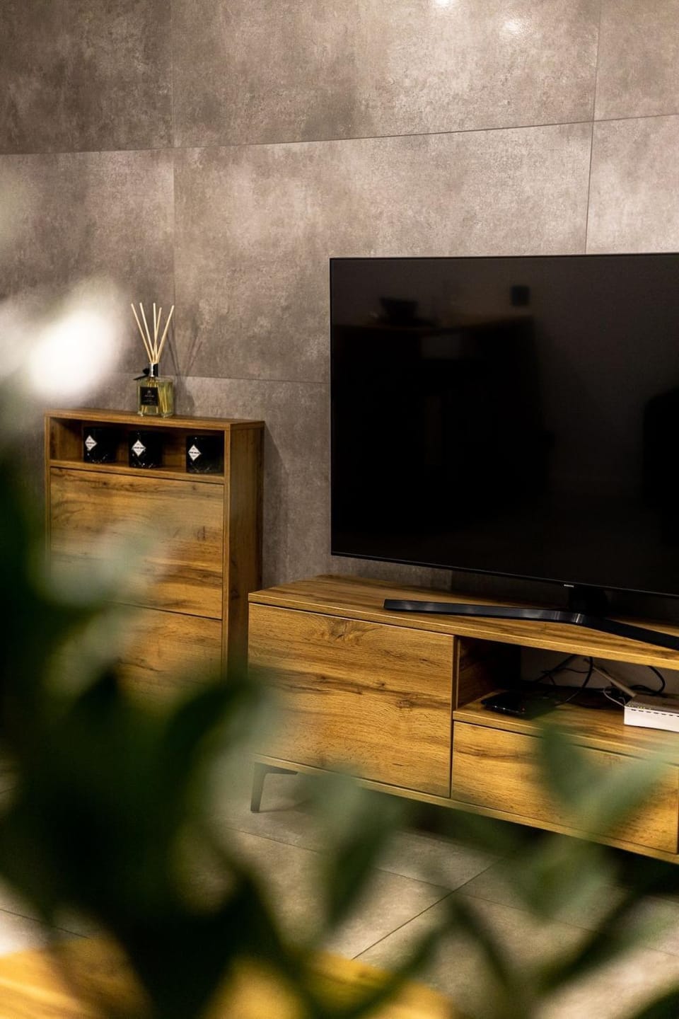 TV and multimedia