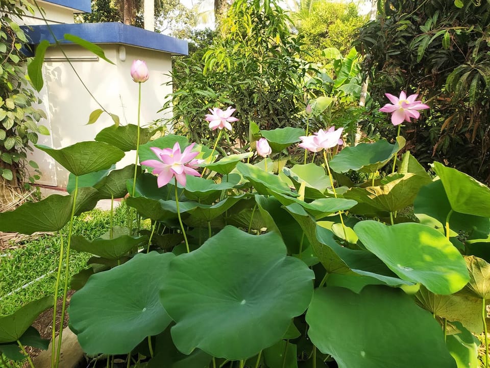 StayCool Homestay near Airport Villa in Mangaluru