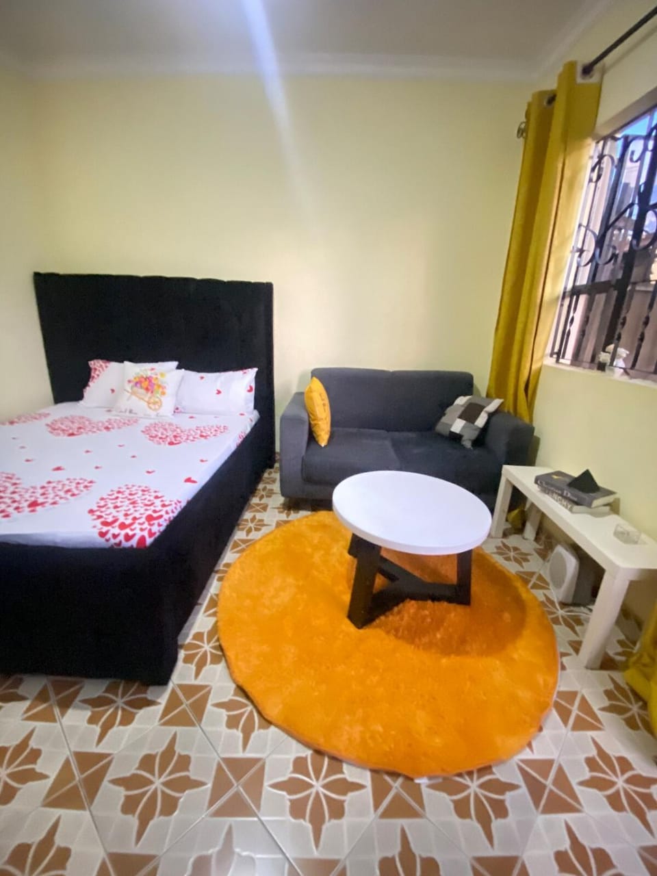 Comfort studio apartment Apartment in Arusha