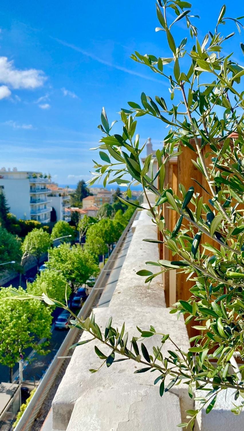 Nice - Little Studio with Sunny Terrace Apartment in Nice