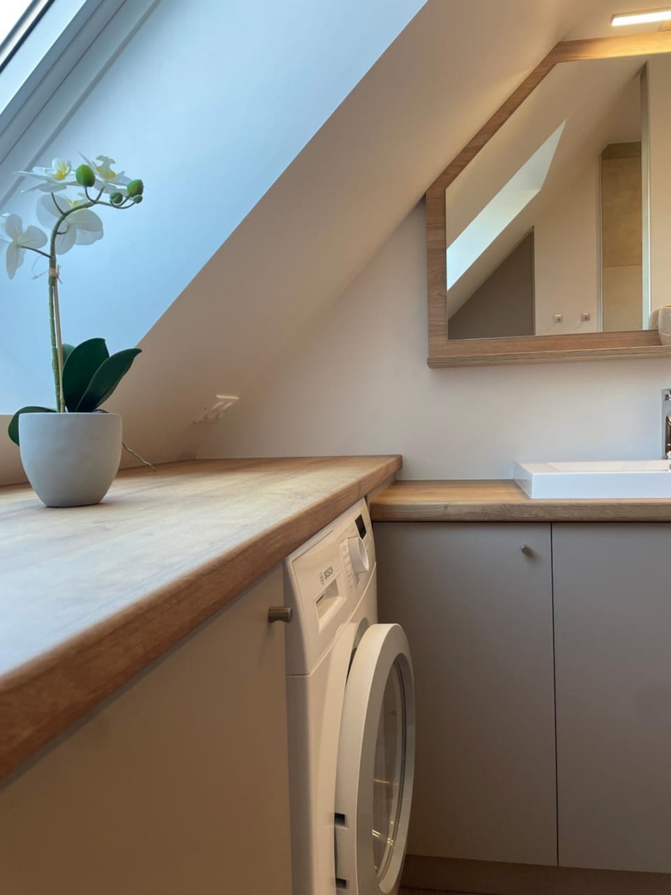 Shower, Bathroom, washing machine