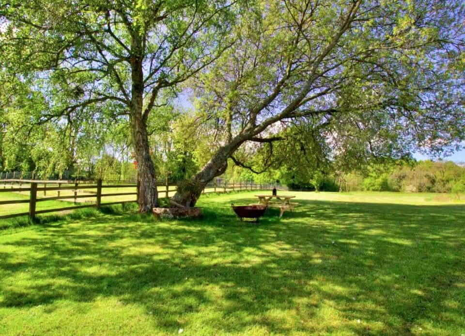 Spring, Day, Natural landscape