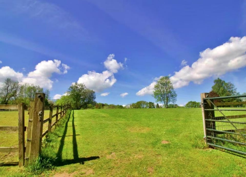 Spring, Day, Natural landscape