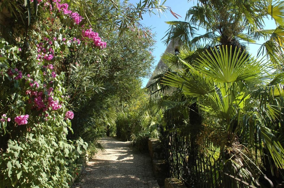 Activities, Garden view