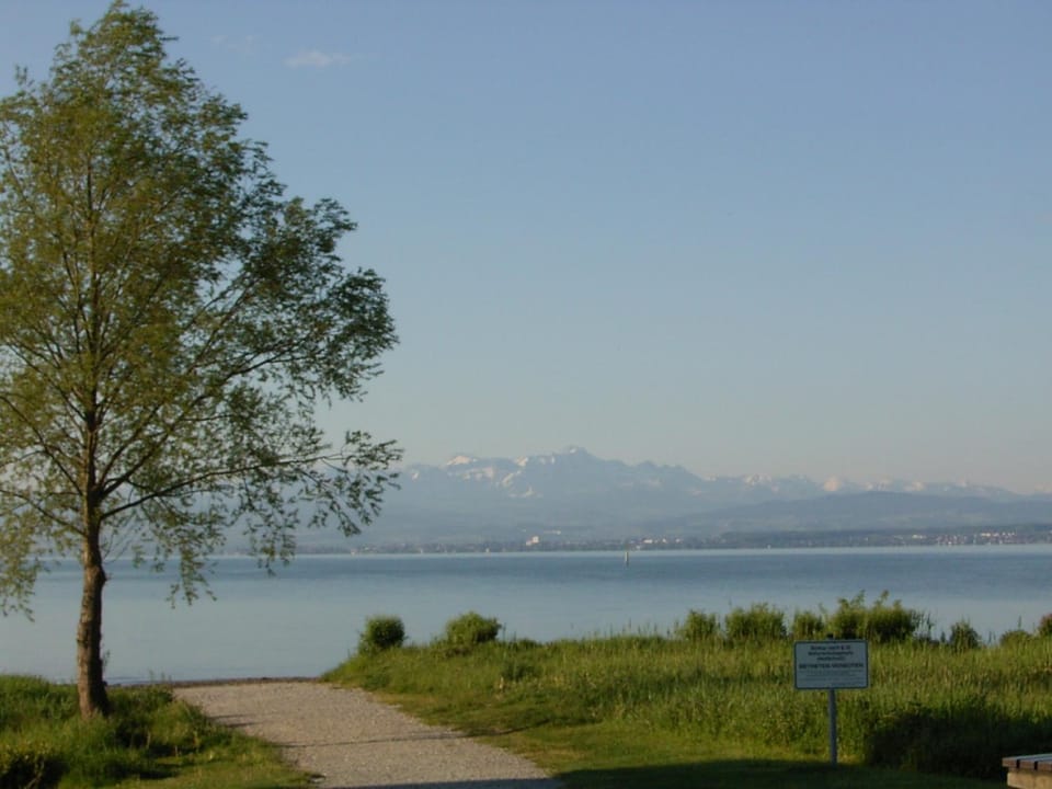 Natural landscape